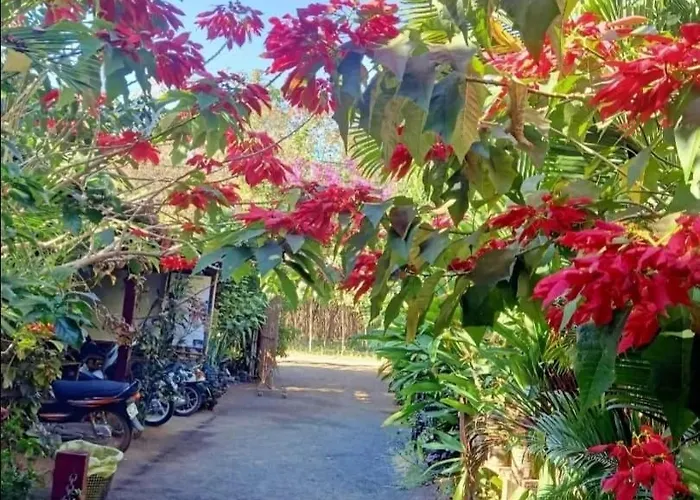Tribal Village Homestay & Trekking