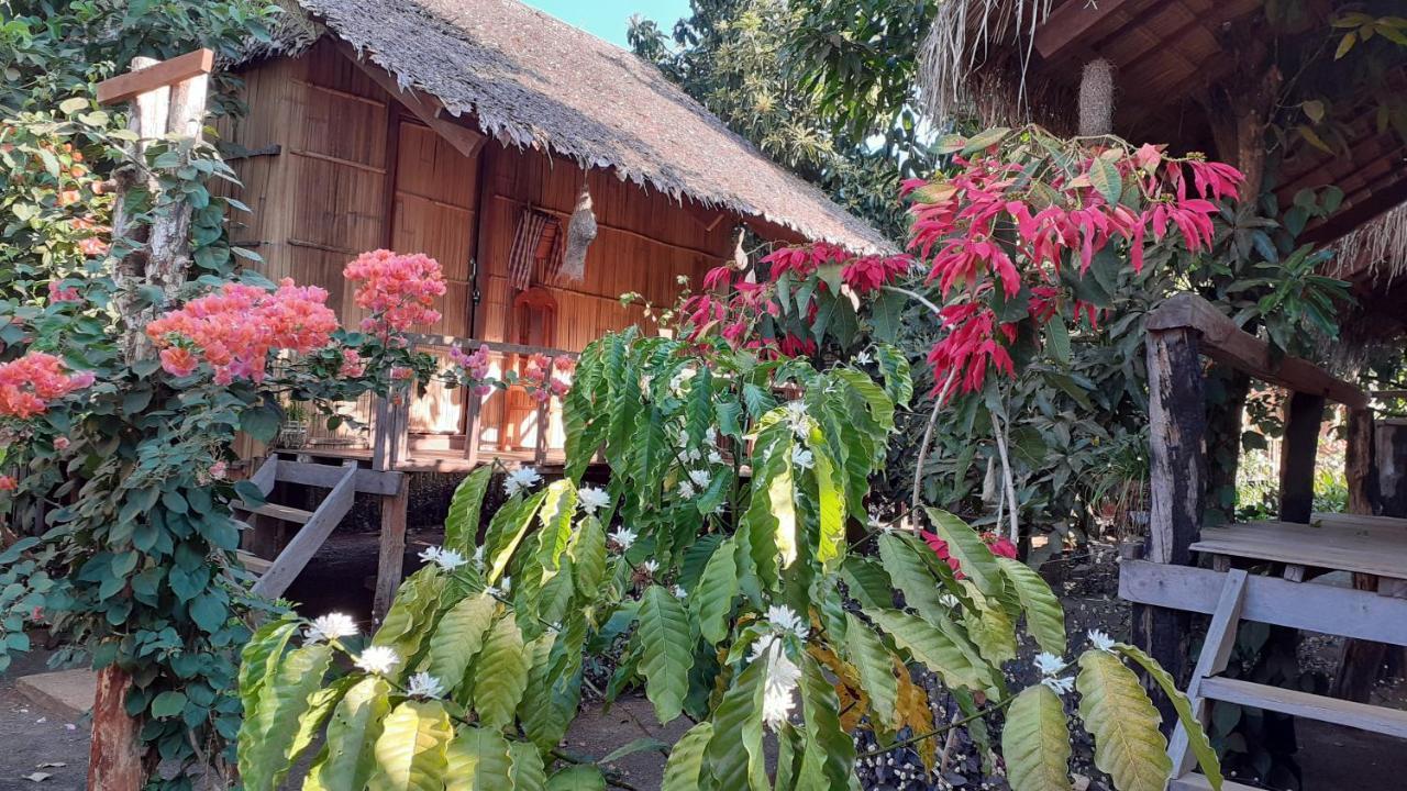 Privatunterkunft Tribal Village & Trekking