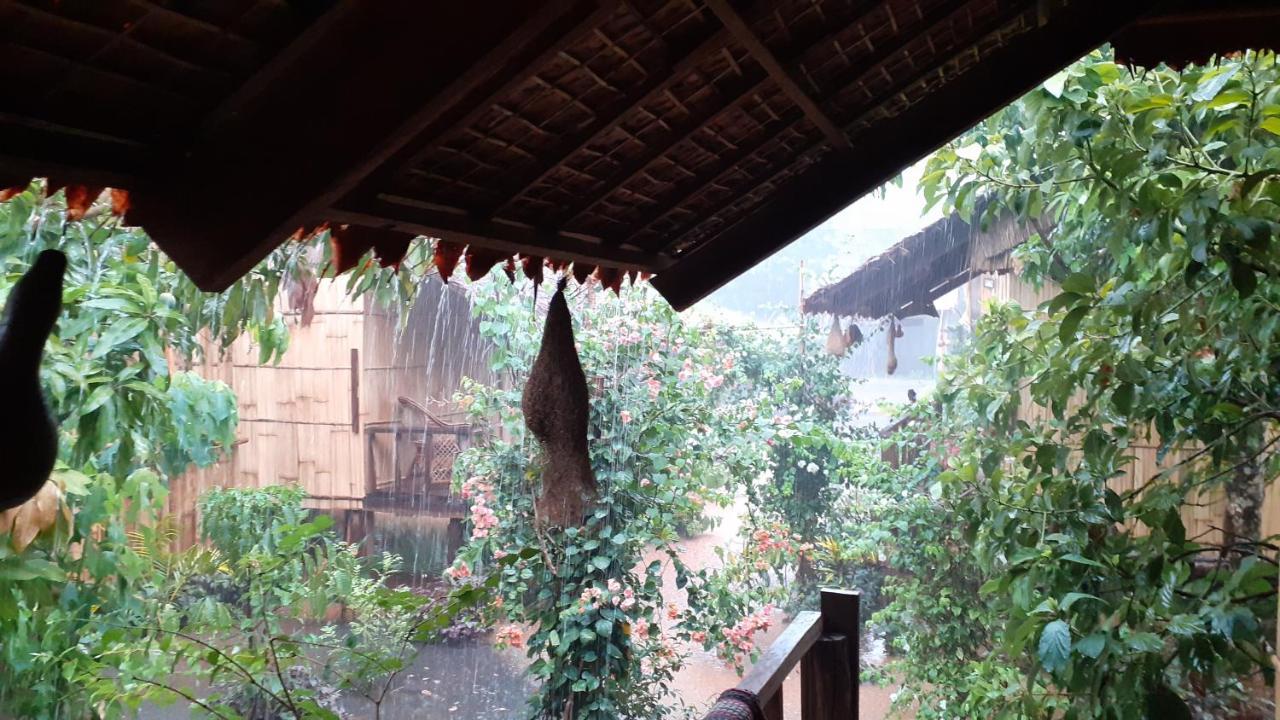 Tribal Village & Trekking Privatunterkunft Banlung